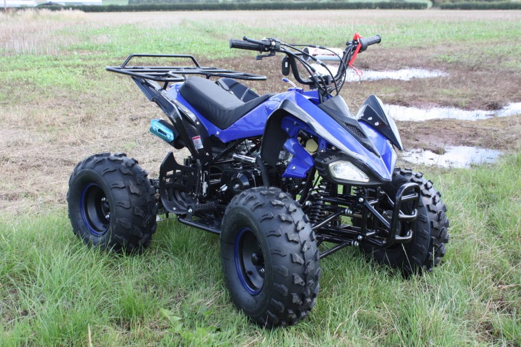 Hawkmoto 2020 Interceptor Automatic 125cc Kids Quad Bike