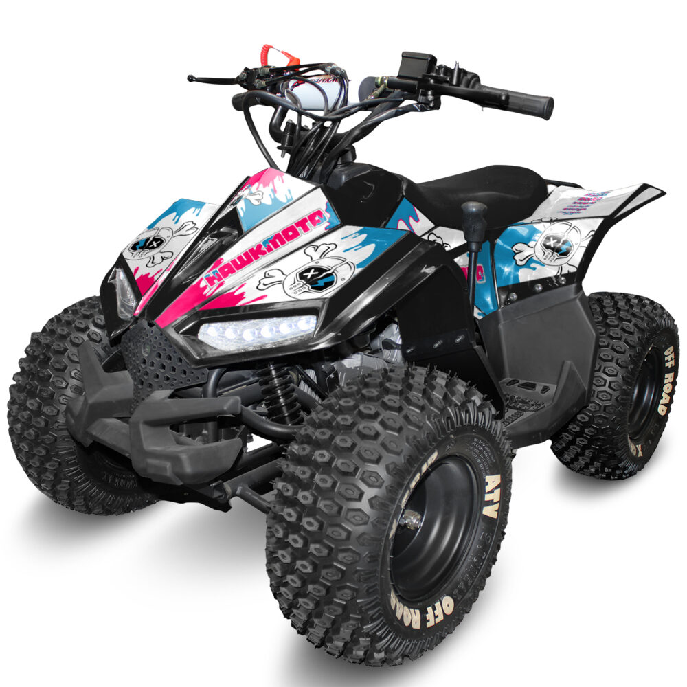 110cc kids quad bike hawkmoto chaos - melted