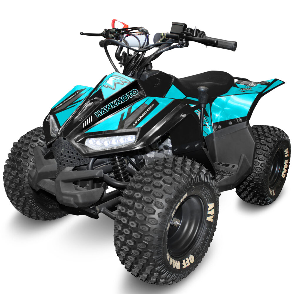 110cc kids quad bike hawkmoto chaos - Ice blast