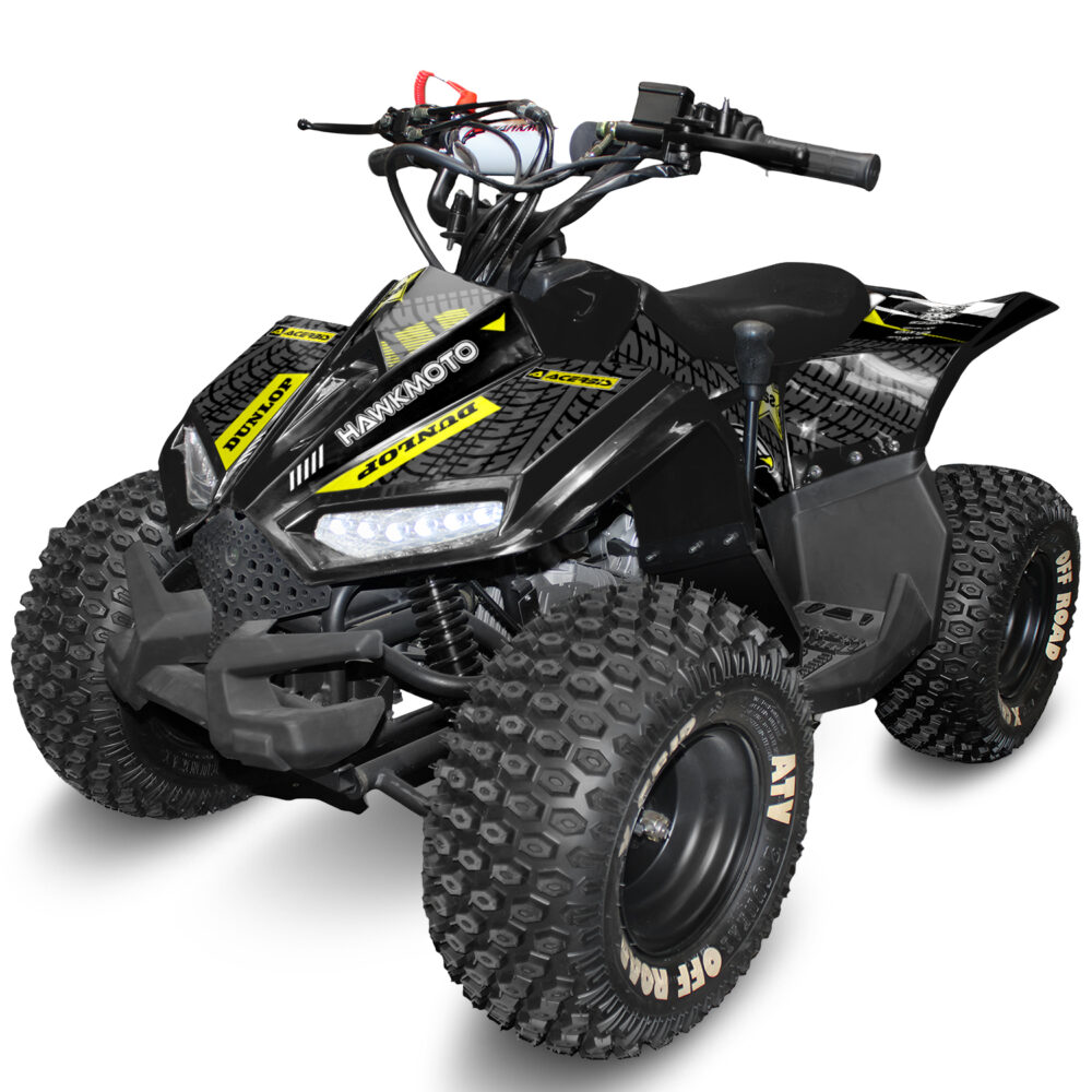 110cc kids quad bike hawkmoto chaos - Superstar