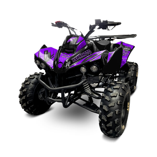 125cc kids quad bike hawkmoto challenger - purple haze