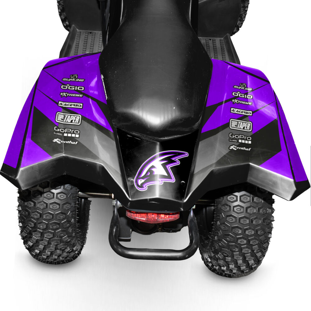 110cc kids quad bike hawkmoto chaos - purple haze