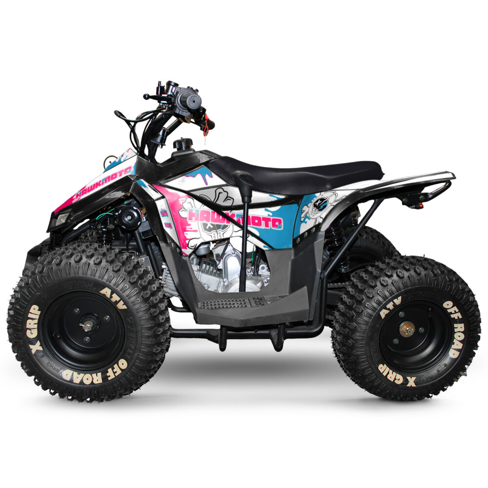 110cc kids quad bike hawkmoto chaos - melted