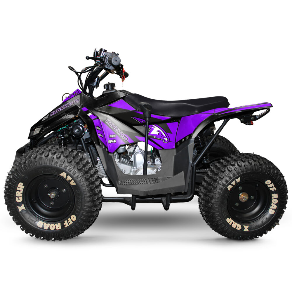 110cc kids quad bike hawkmoto chaos - purple haze