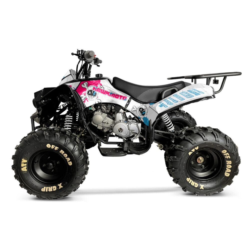 125cc kids quad bike hawkmoto challenger - melted