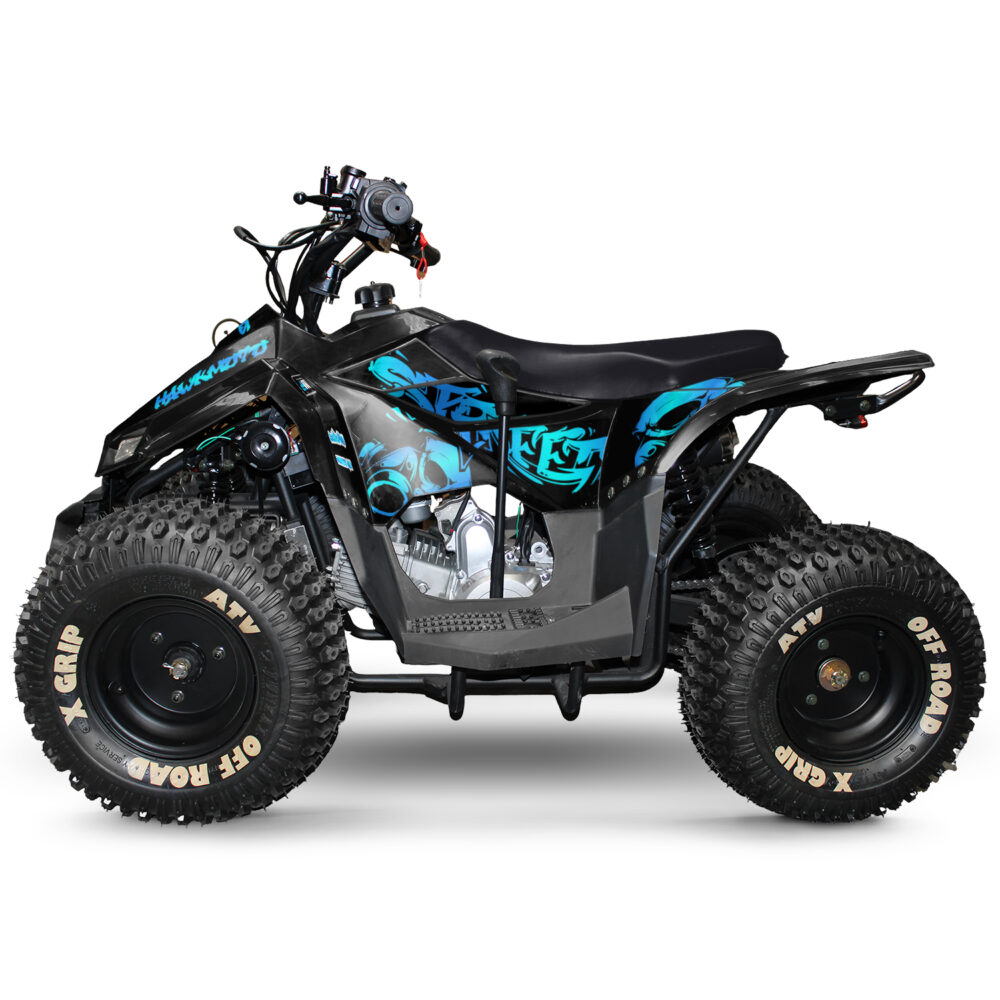 110cc kids quad bike hawkmoto chaos - vandal