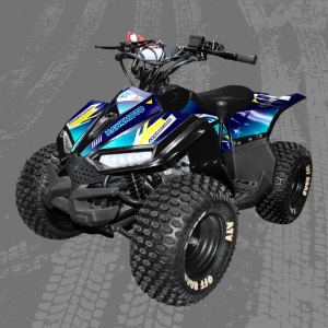 110cc Kids Quad bike Hawkmoto