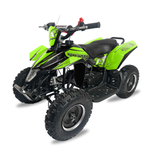 Kids Quad Bike