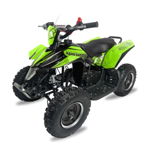 Kids Quad Bike